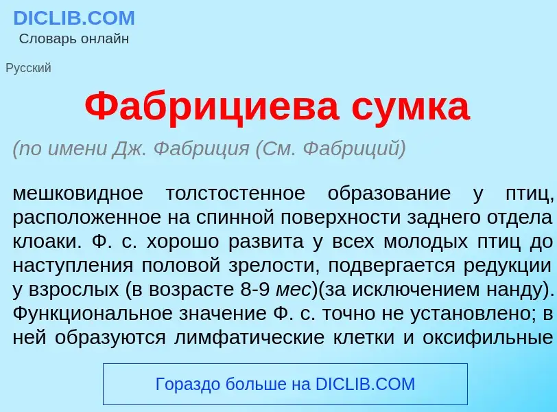 Что такое Фабр<font color="red">и</font>циева с<font color="red">у</font>мка - определение