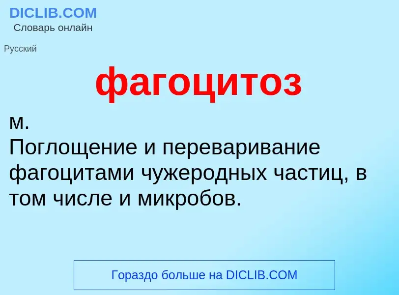 ¿Qué es фагоцитоз? - significado y definición