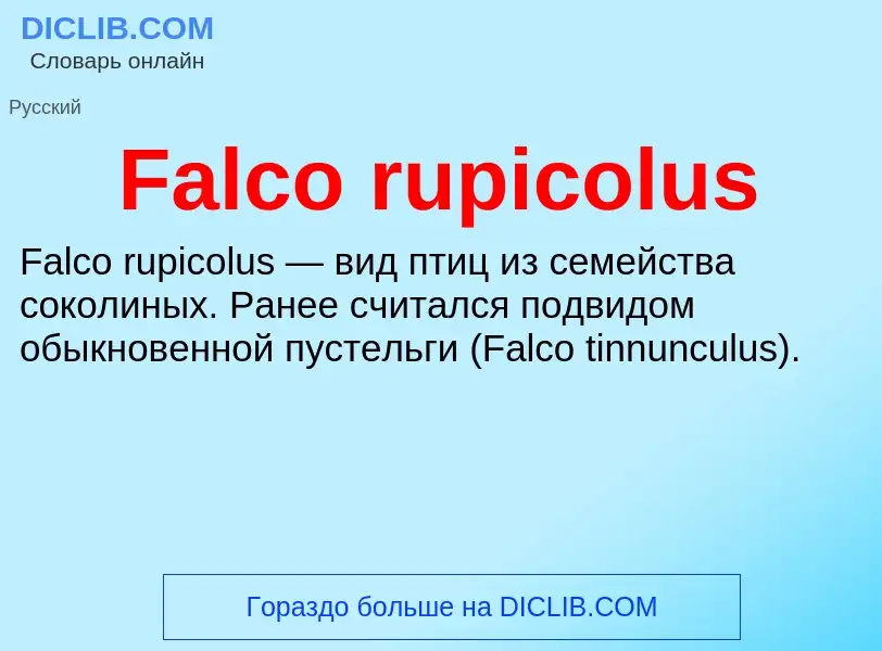 Что такое Falco rupicolus - определение