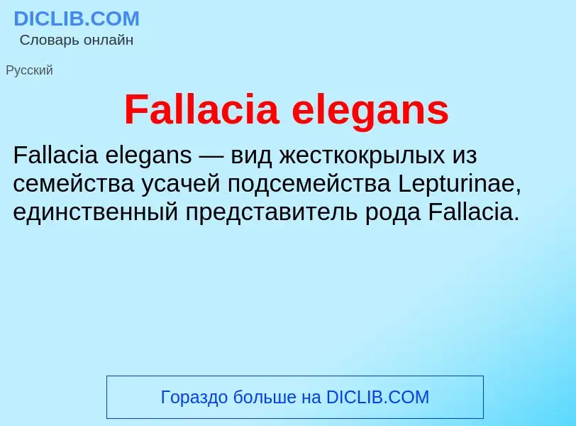 Что такое Fallacia elegans - определение