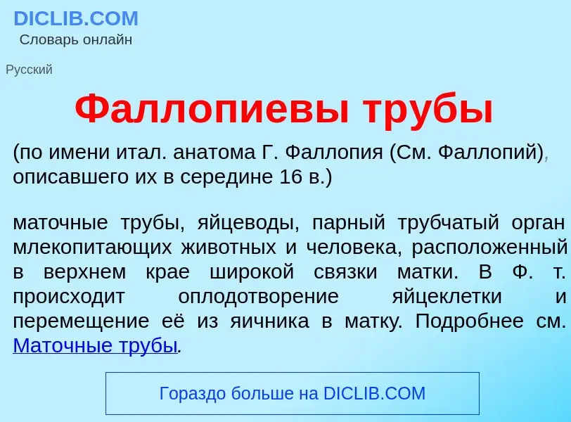 Что такое Фалл<font color="red">о</font>пиевы тр<font color="red">у</font>бы - определение