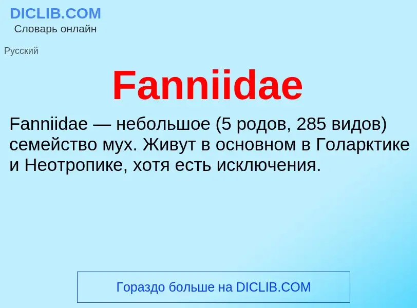 Что такое Fanniidae - определение