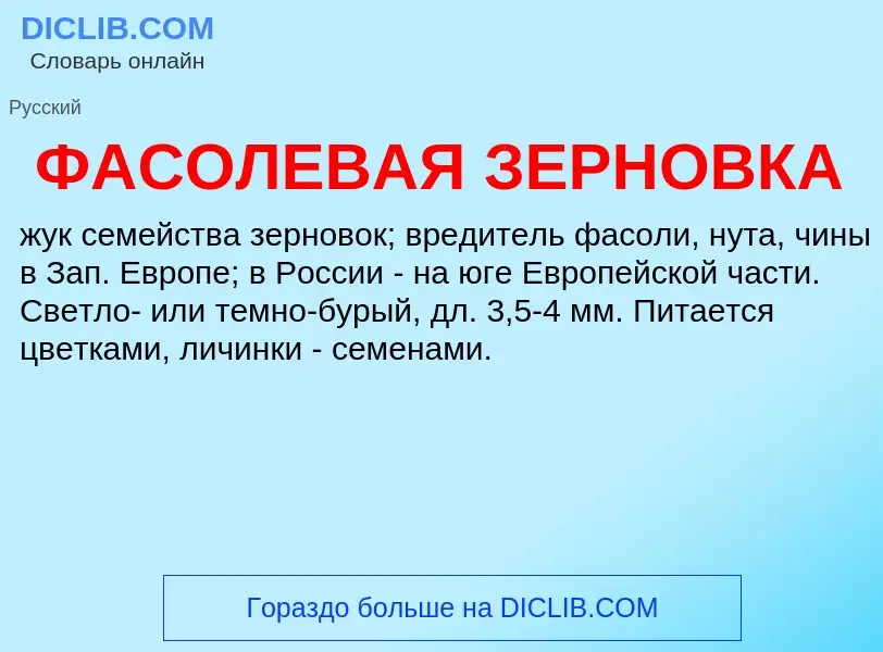 ¿Qué es ФАСОЛЕВАЯ ЗЕРНОВКА? - significado y definición