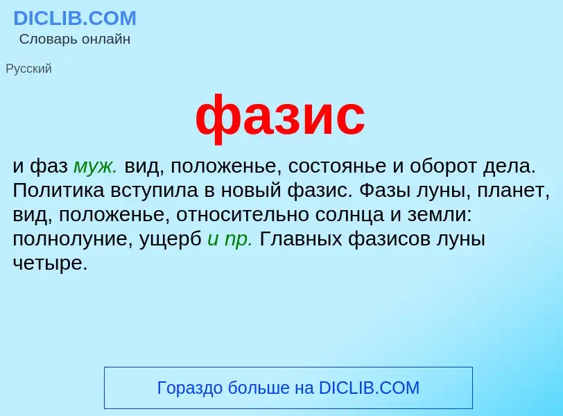 What is фазис - meaning and definition