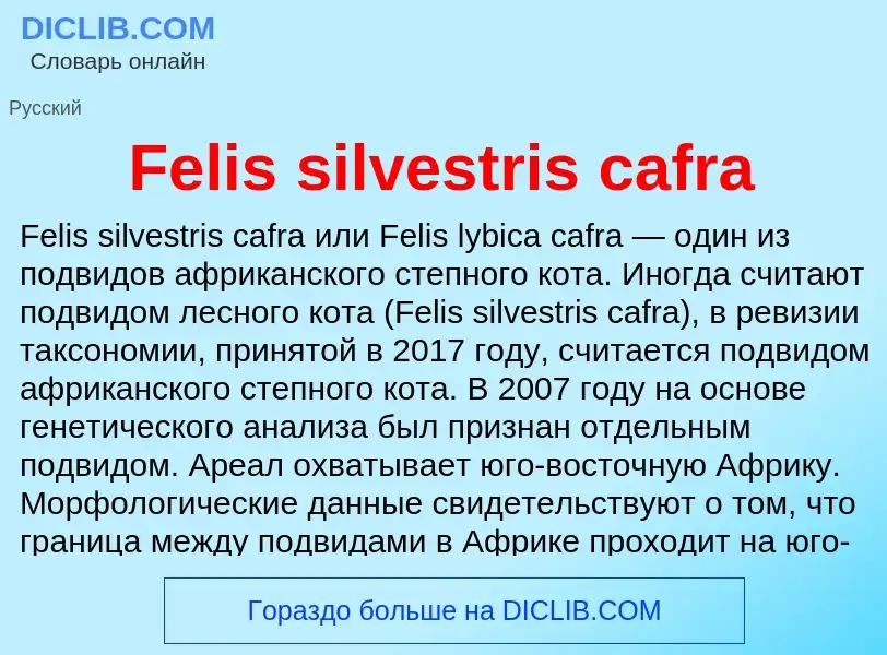 Τι είναι Felis silvestris cafra - ορισμός