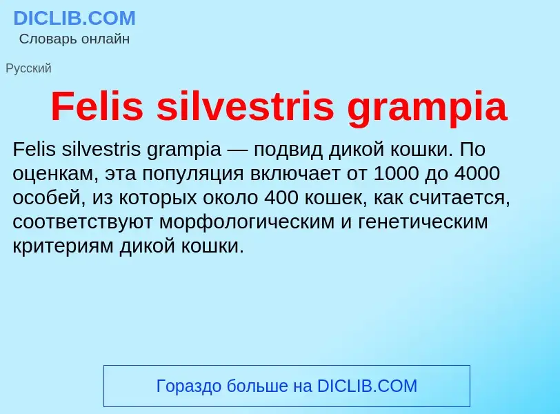 Τι είναι Felis silvestris grampia - ορισμός