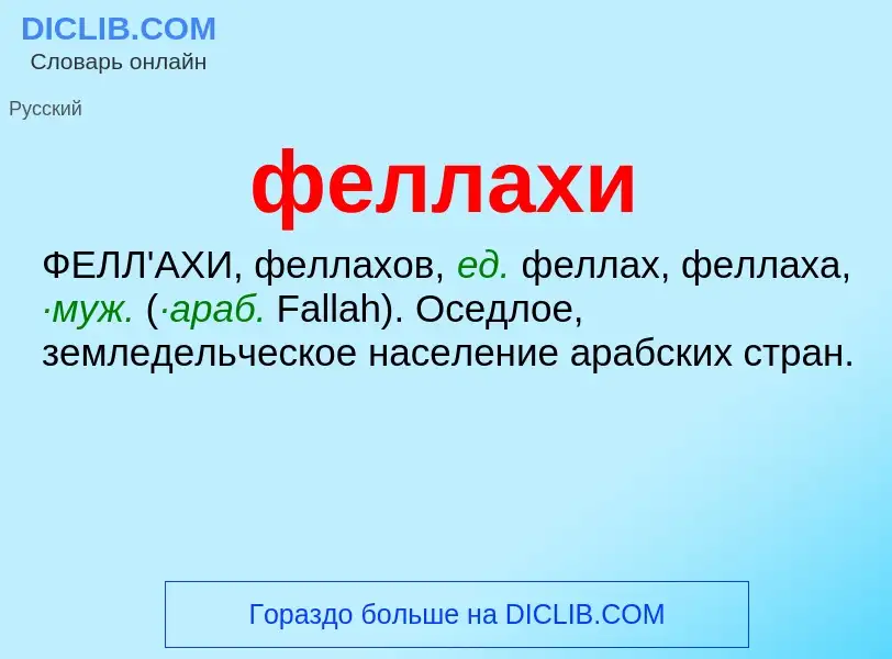 Wat is феллахи - definition