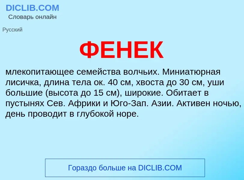 Wat is ФЕНЕК - definition