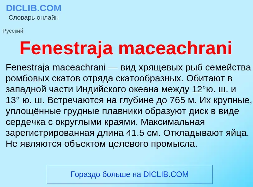 Что такое Fenestraja maceachrani - определение