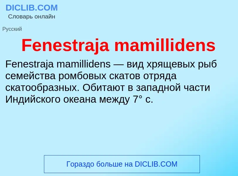 Что такое Fenestraja mamillidens - определение