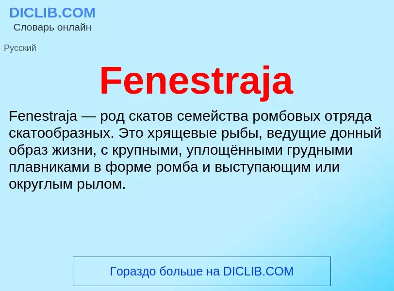 Что такое Fenestraja - определение