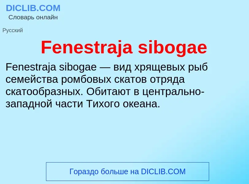 Что такое Fenestraja sibogae - определение