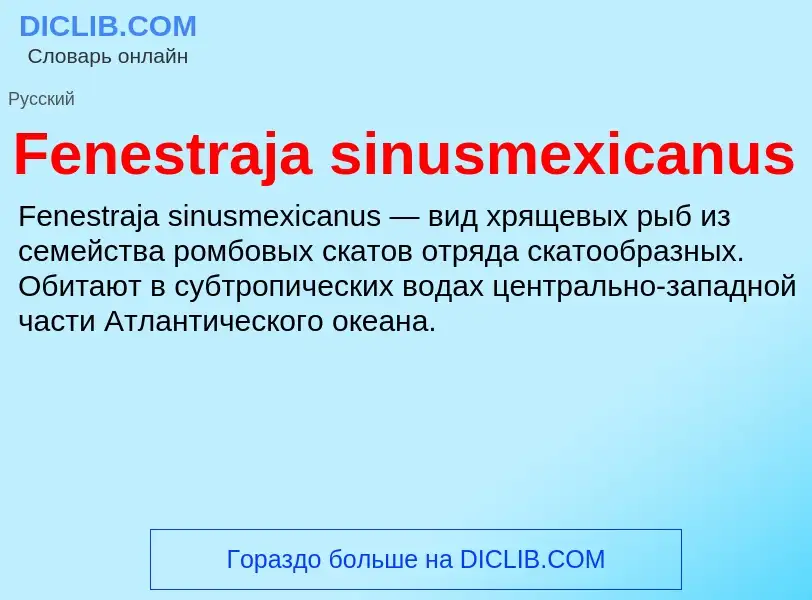 Что такое Fenestraja sinusmexicanus - определение