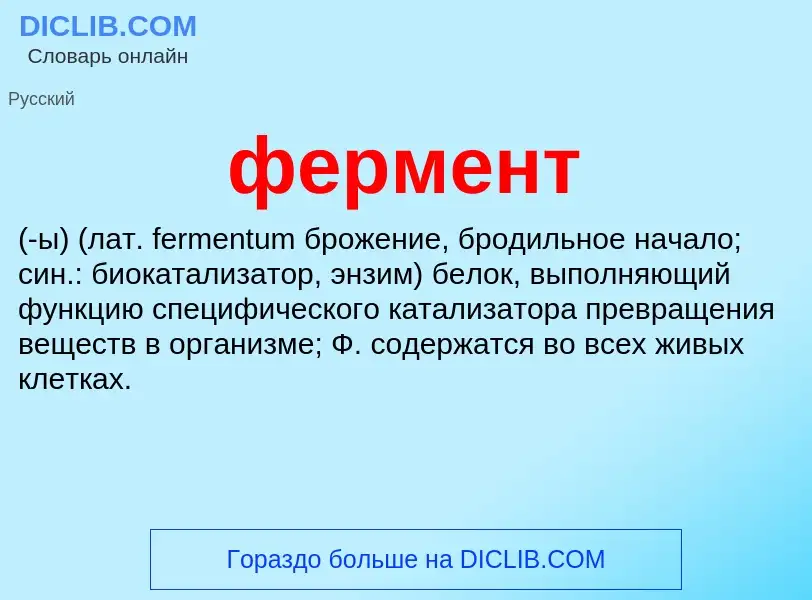 Wat is фермент - definition