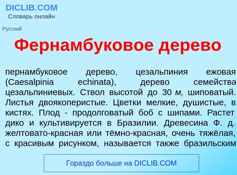 Что такое Фернамб<font color="red">у</font>ковое д<font color="red">е</font>рево - определение