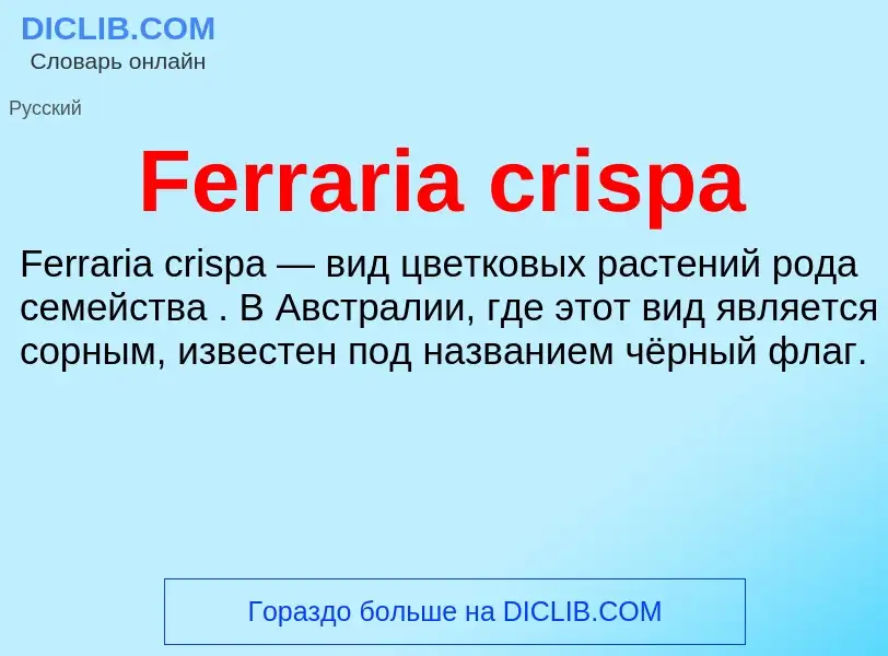 Что такое Ferraria crispa - определение