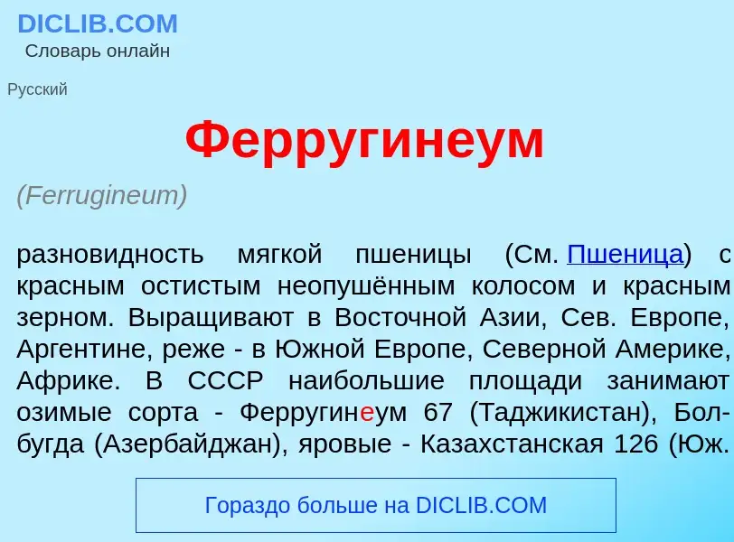 What is Ферругин<font color="red">е</font>ум - definition