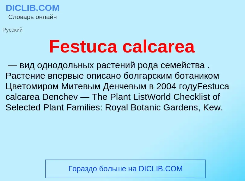 Что такое Festuca calcarea - определение