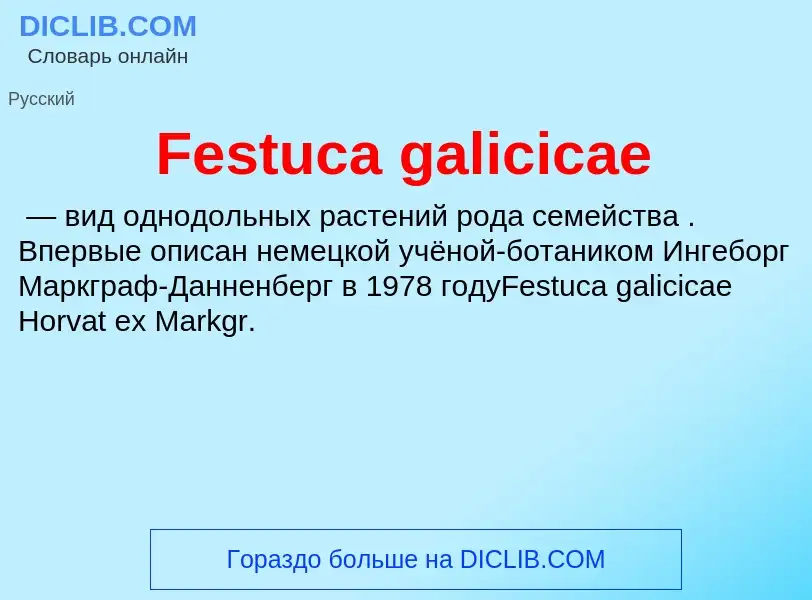 Что такое Festuca galicicae - определение