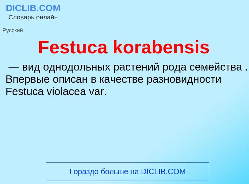 Что такое Festuca korabensis - определение