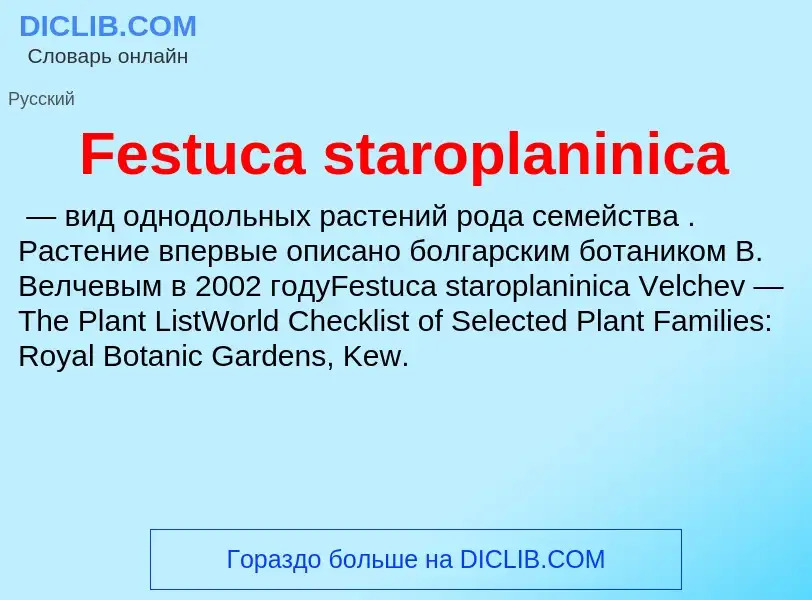 Что такое Festuca staroplaninica - определение