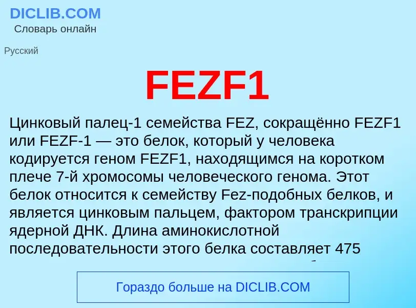 Τι είναι FEZF1 - ορισμός