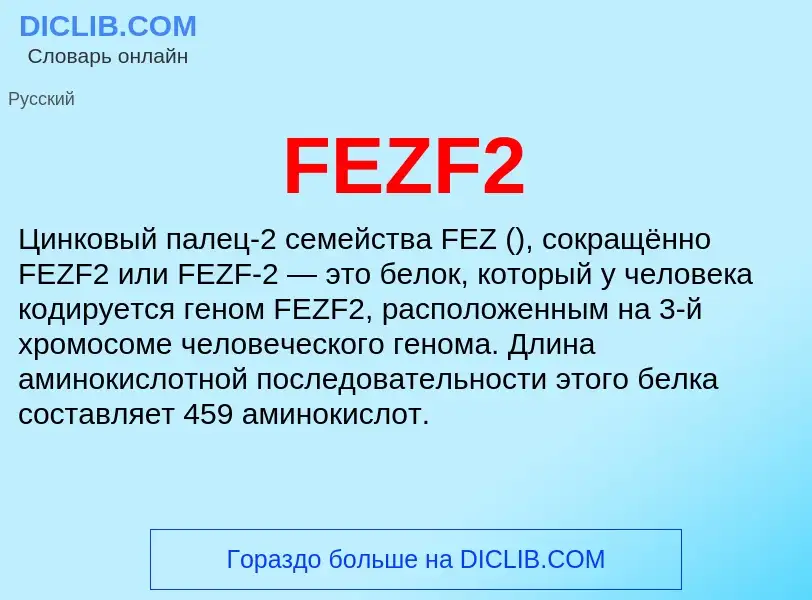 Что такое FEZF2 - определение