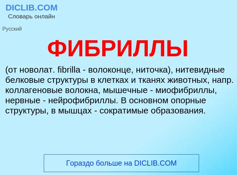 Wat is ФИБРИЛЛЫ - definition