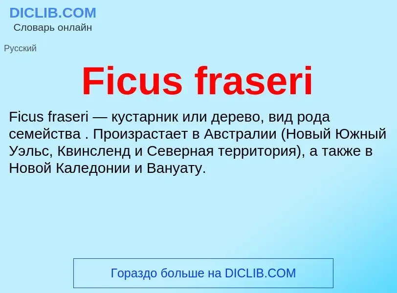 Что такое Ficus fraseri - определение