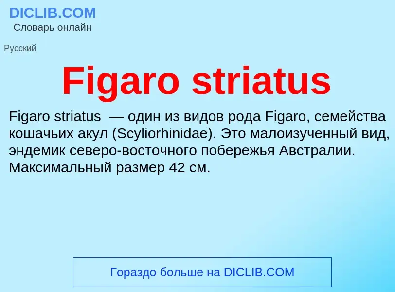 Что такое Figaro striatus - определение