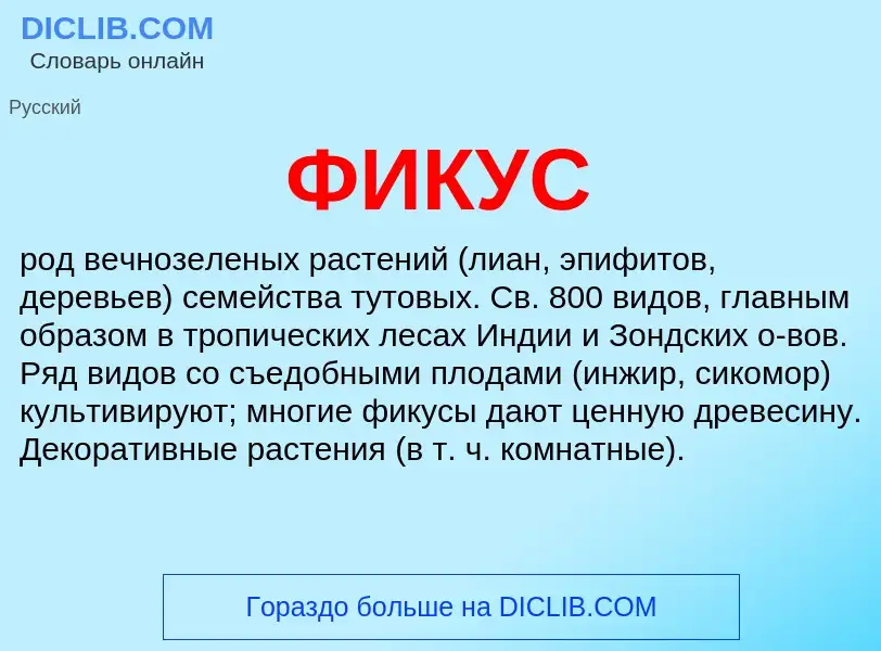 What is ФИКУС - definition