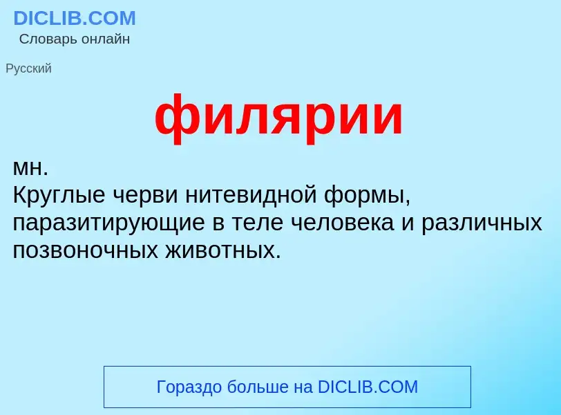 What is филярии - definition