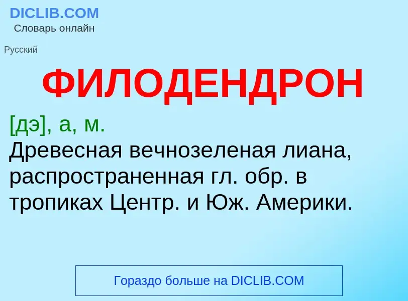 O que é ФИЛОДЕНДРОН - definição, significado, conceito