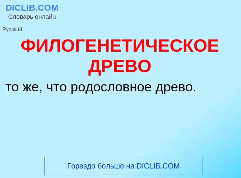 ¿Qué es ФИЛОГЕНЕТИЧЕСКОЕ ДРЕВО? - significado y definición