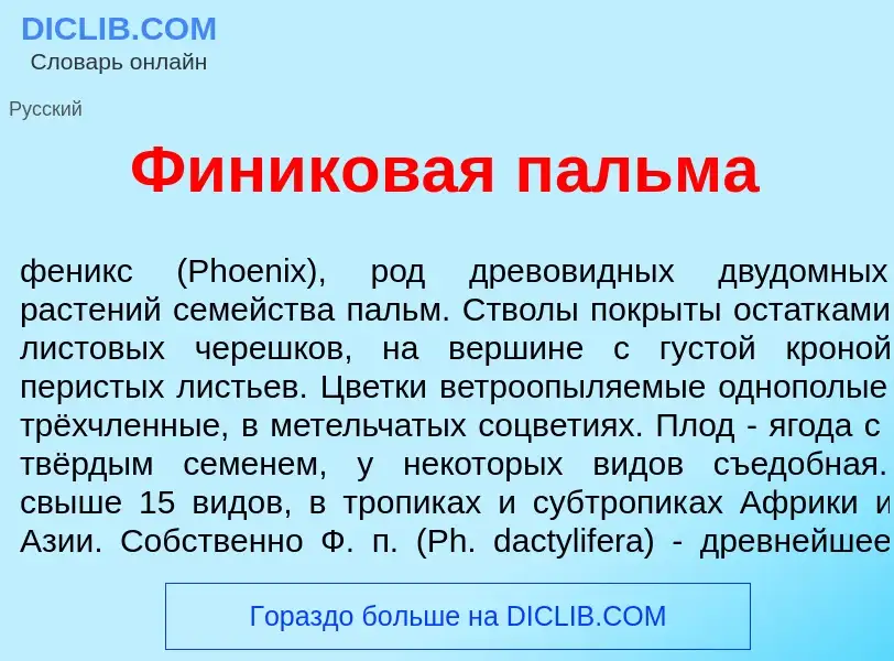 Что такое Ф<font color="red">и</font>никовая п<font color="red">а</font>льма - определение