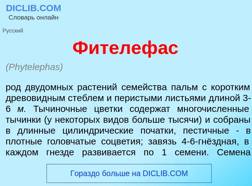 What is Фителеф<font color="red">а</font>с - meaning and definition