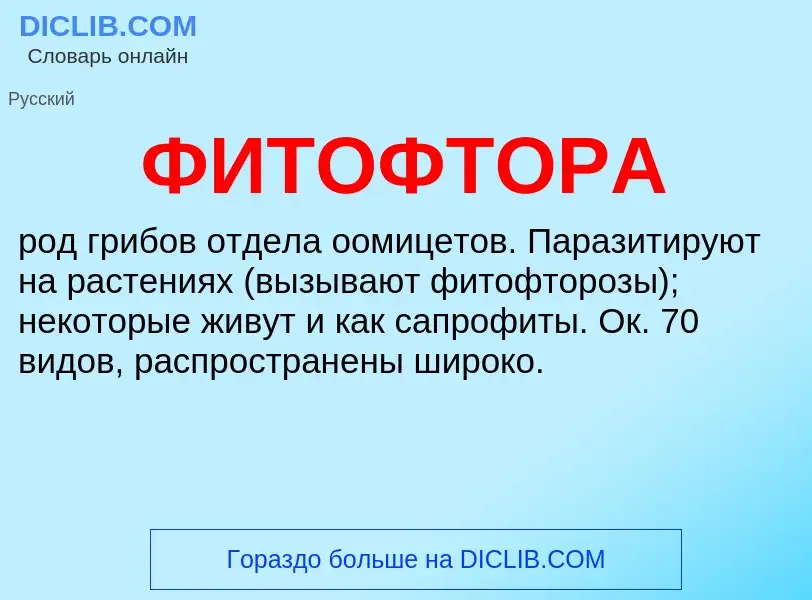 Что такое ФИТОФТОРА - определение