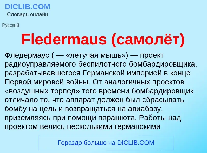 Что такое Fledermaus (самолёт) - определение