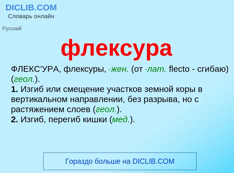 O que é флексура - definição, significado, conceito