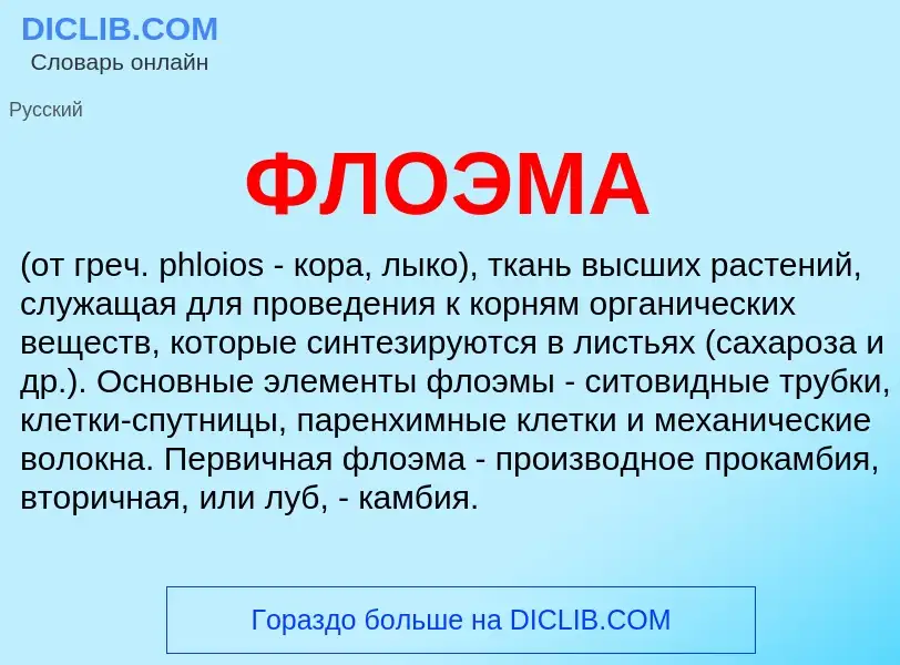 What is ФЛОЭМА - definition