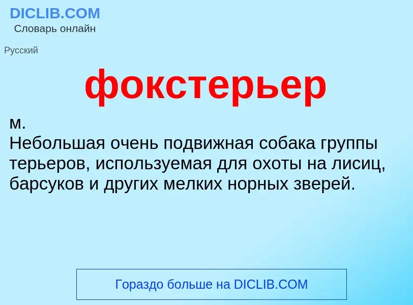 What is фокстерьер - definition