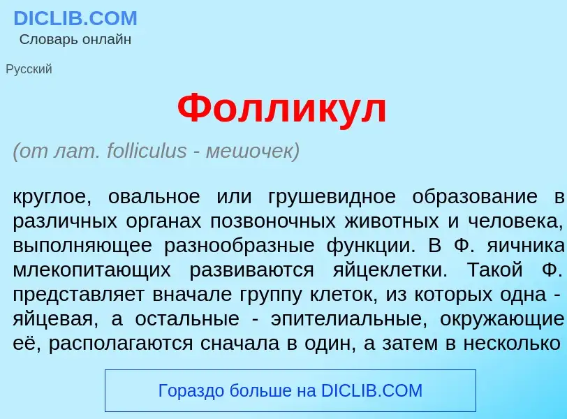 What is Фолл<font color="red">и</font>кул - meaning and definition