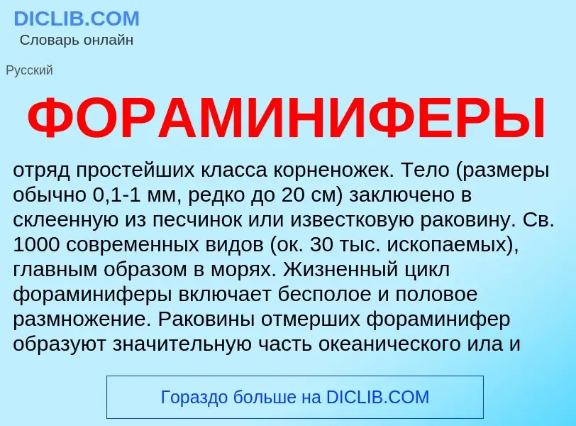 What is ФОРАМИНИФЕРЫ - definition