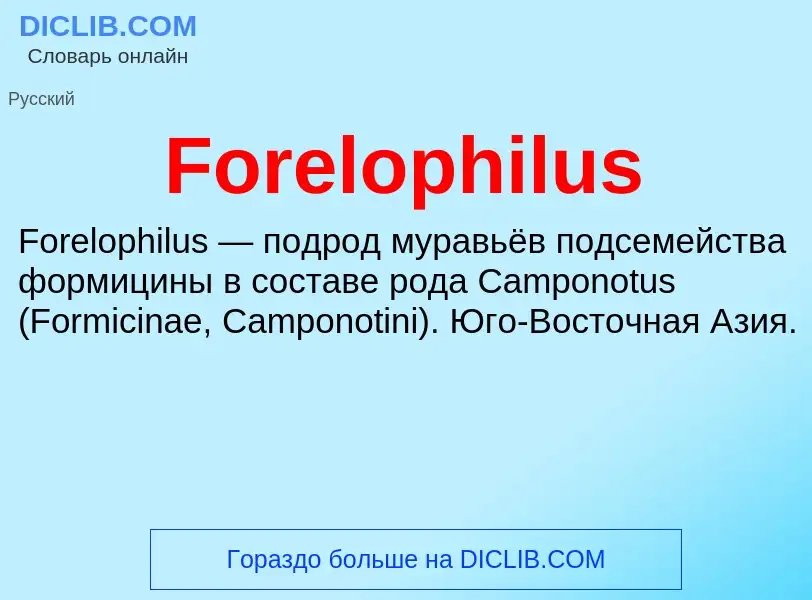 Что такое Forelophilus - определение