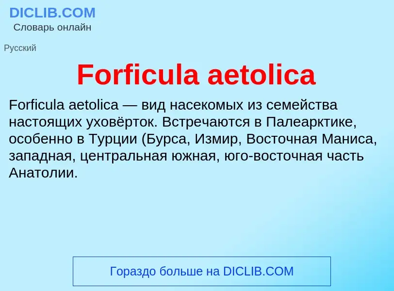 Что такое Forficula aetolica - определение