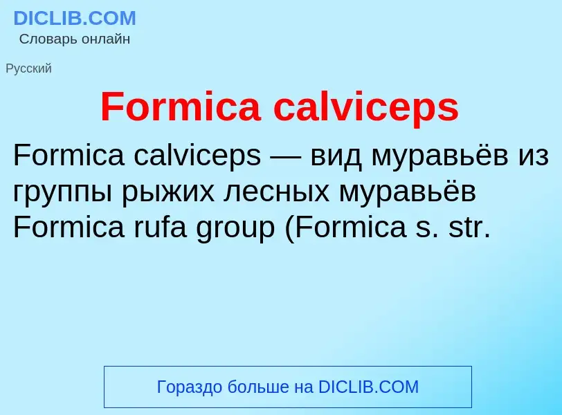 Что такое Formica calviceps - определение