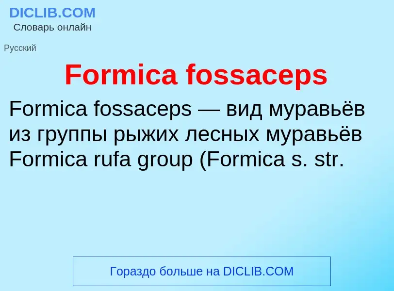 Что такое Formica fossaceps - определение