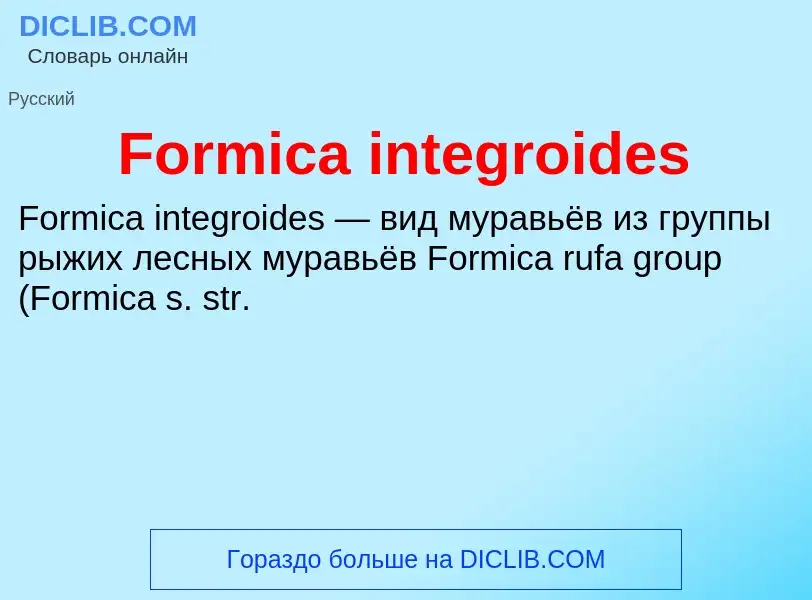 Что такое Formica integroides - определение