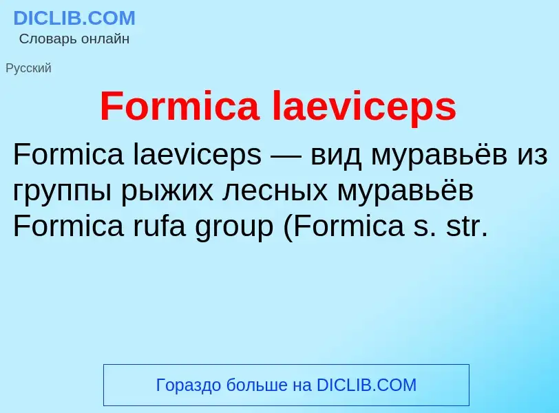 Что такое Formica laeviceps - определение