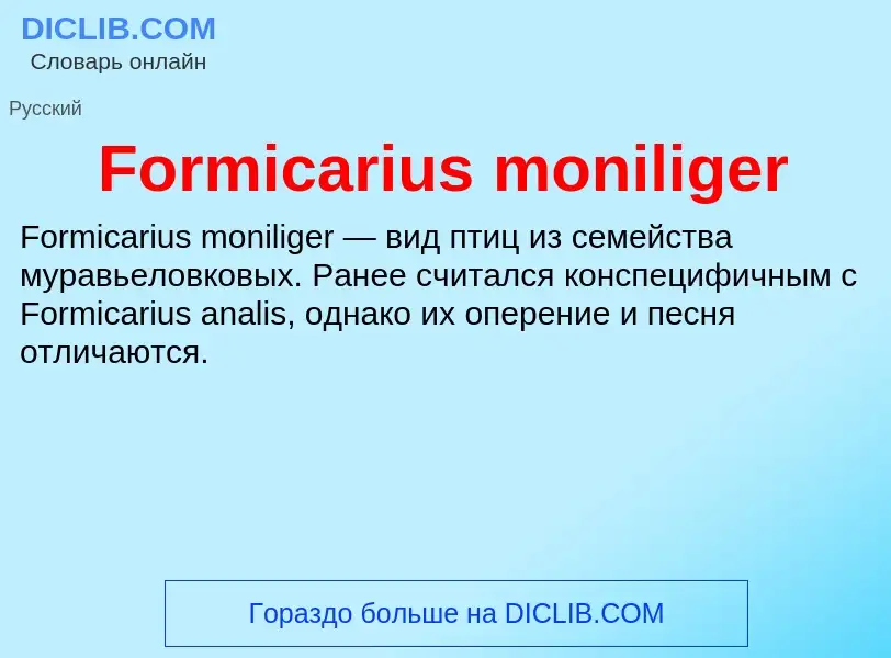 Что такое Formicarius moniliger - определение